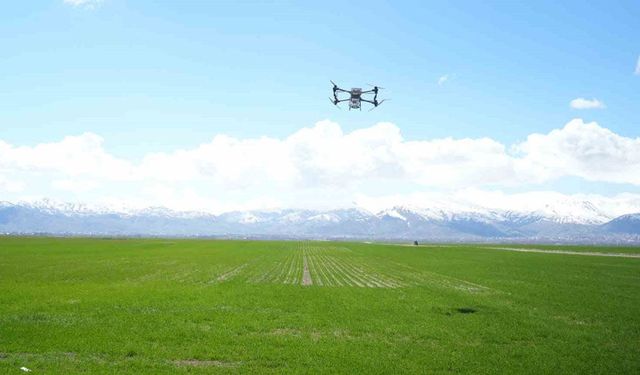 Muş’ta 42 bin dönümlük tarım arazisi dron ile gübrelendi