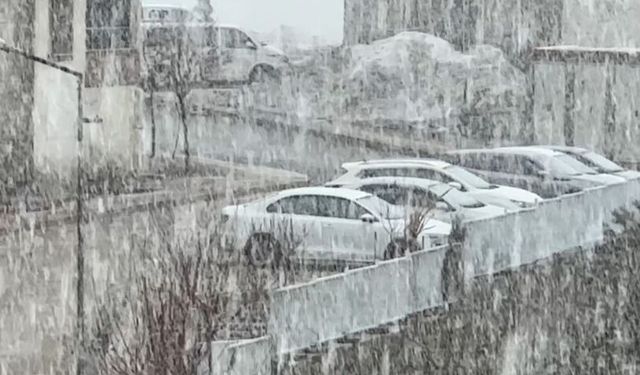 Yüksekova’da kar ve sis etkili oldu: Görüş mesafesi 20 metreye düştü