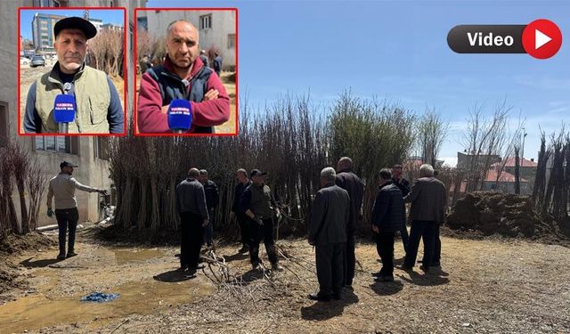 Yüksekovalı Çatuk, 30 yıldır geçimini meyve fidanı satarak sağlıyor