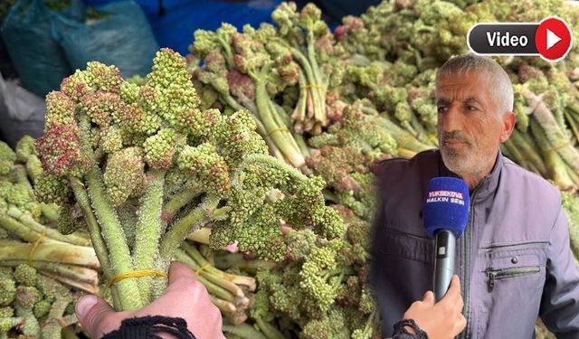 Yüksekova’da Revas (Uçkun) tezgahlara geldi! İşte fiyatı..