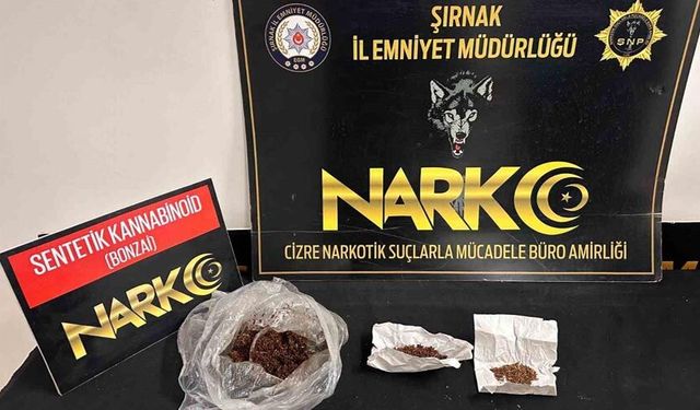 Şırnak’ta kaçakçılık ve uyuşturucu operasyonları: 5 tutuklama
