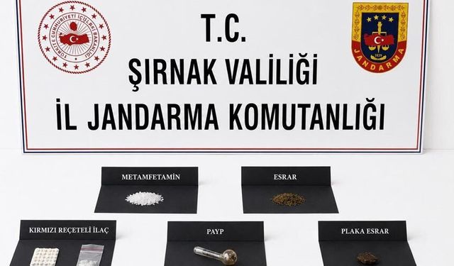 Şırnak’ta jandarmadan kaçakçılık operasyonu: 105 şüpheli yakalandı