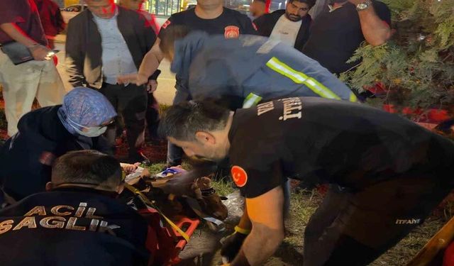 Van’da trafik kazası: 8 yaralı