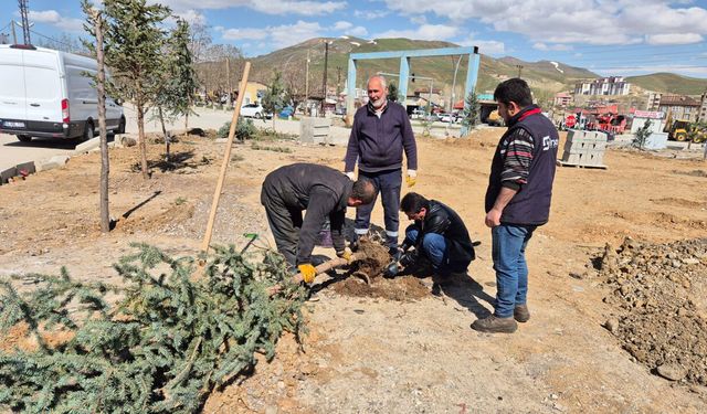 Yüksekova Küçük Sanayi Sitesi Yeşillendiriliyor