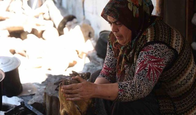 Kurbanlar kesildi, kelleler ütülmeye başladı