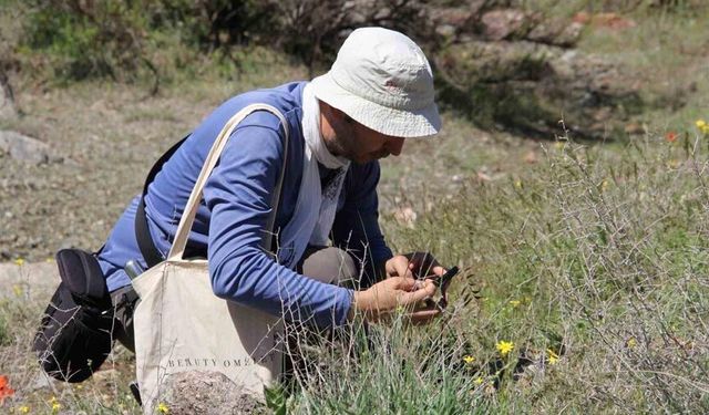 Darende’de flora projesi için ilk saha çalışması tamamlandı