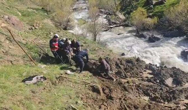 Hakkari’de bataklıkta mahsur kalan inek kurtarıldı