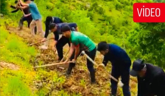 Şemdinli’de Bağ Kazma Sezonu Başladı