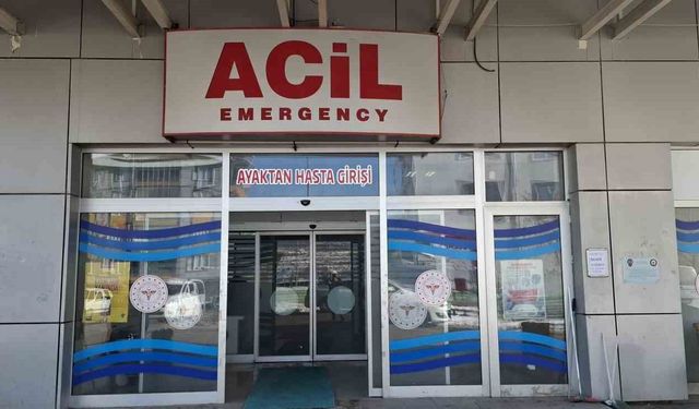 Adıyaman’da çağla yiyen 6 öğrenci hastanelik oldu