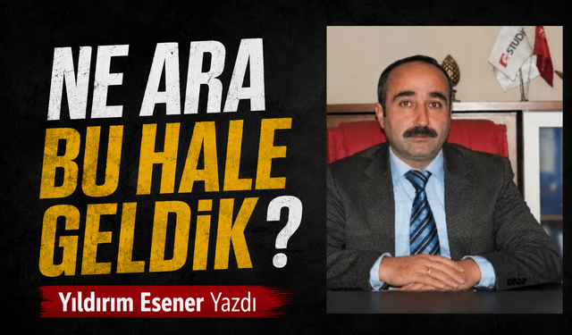 Ne Ara Bu Hale Geldik?