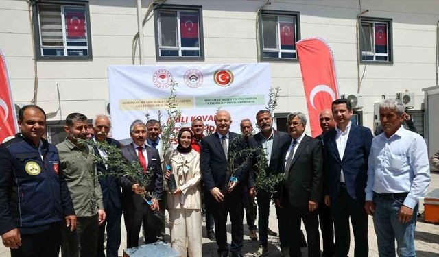 Adıyaman’da çiftçilere zeytin fidanı ve arılı kovan desteği