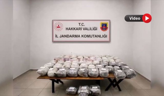 Hakkâri’nin de aralarında bulunduğu 30 ilde operasyon