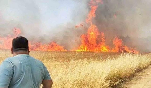Şanlıurfa’da buğday tarlasında korkutan yangın