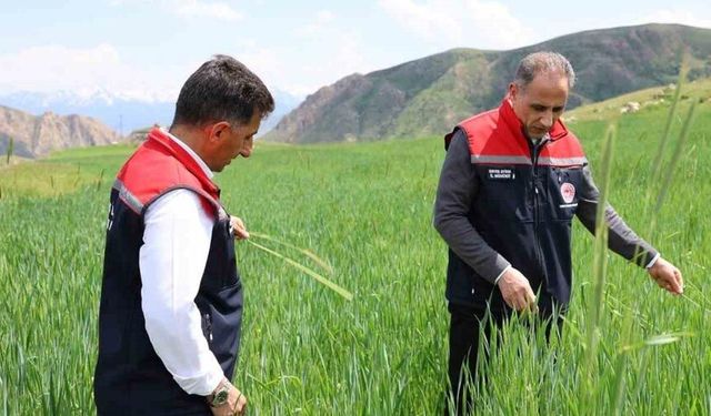 Kars’ta fenolojik gözlem çalışmaları sürüyor