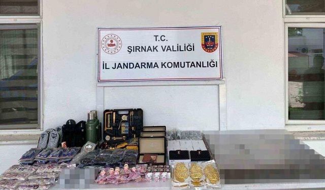 Şırnak’ta jandarmadan asayiş ve kaçakçılık operasyonu: 94 şüpheli hakkında adli işlem yapıldı