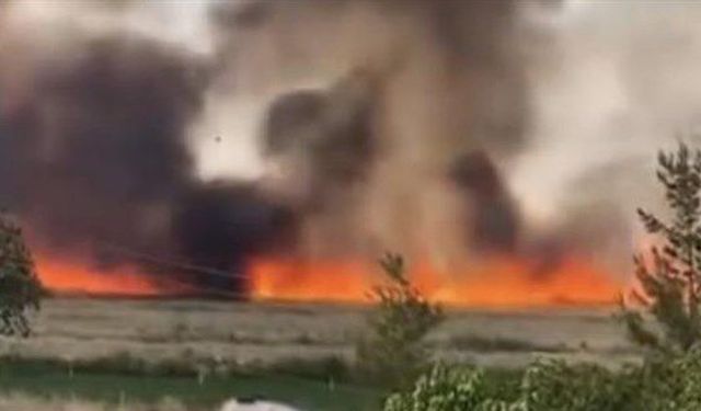 Siverek’te arazi yangını: 1’i ağır 3 yaralı, 200 dönüm ekili alan küle döndü