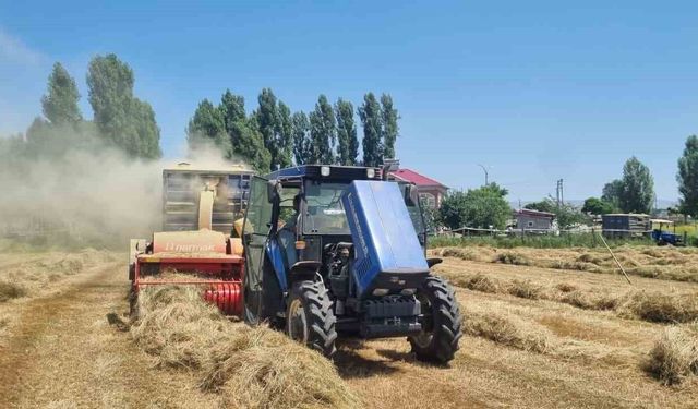 Hasköy’de çiftçilerin kışlık yem mesaisi sürüyor