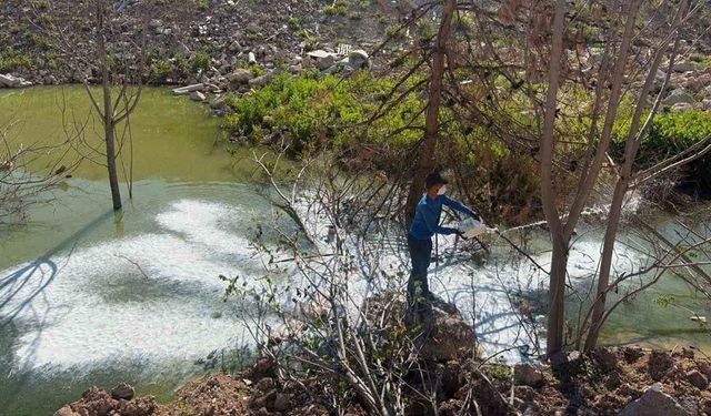 Adıyaman’da sivrisinek ve haşerelere karşı ilaçlama çalışması
