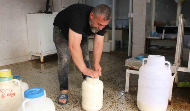 Diyarbakır’da kışlık peynir mesaisi başladı