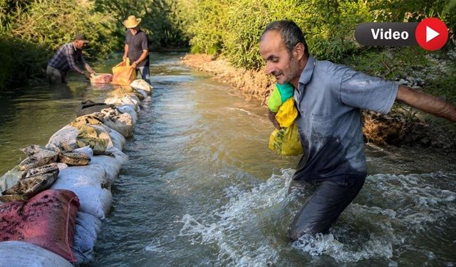 Canını hiçe sayan çiftçi dereden tarlasına su götürmeye çalışıyor