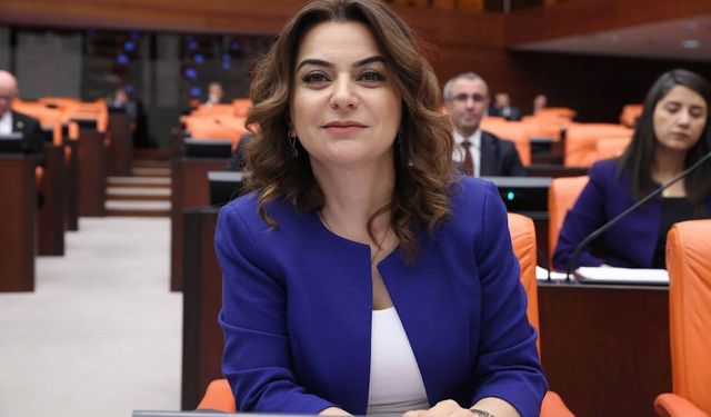 DEM Parti’li Koçyiğit: Çerçeve yasa için görüşme trafiği 5 Haziran sonrası netleşecek