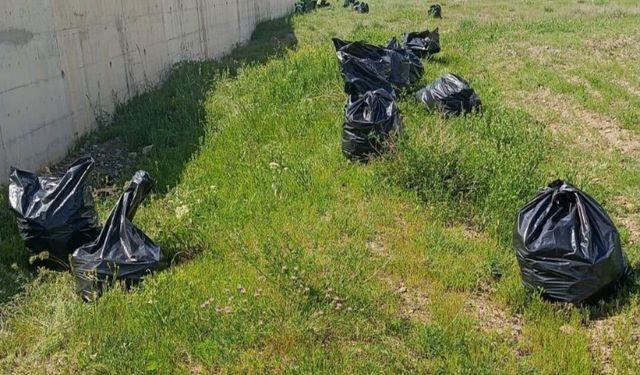 Yüksekova Çevre Yolunda 250 Poşet Çöp Toplandı