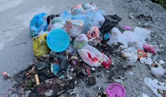 Dağlıca'da Çöp Tepkisi: Piknik Alanları Çöplüğe Döndü