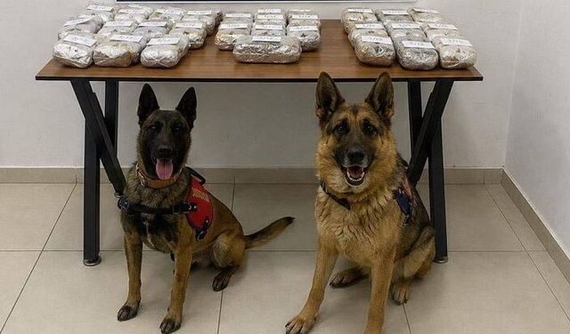 Şemdinli’de 21 Kilo Esrar Ele Geçirildi