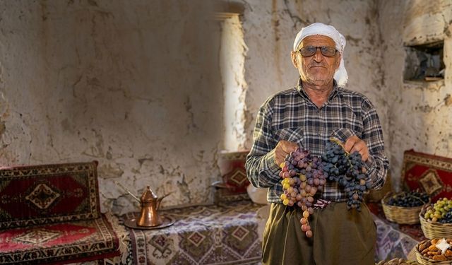Şemdinli Üzümü İçin Coğrafi İşaret Tescil Süreci Başlatıldı