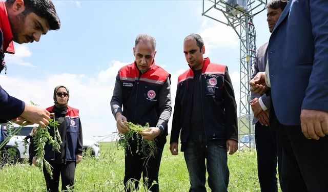 Akyaka’da dolu yağışı tarım arazilerini vurdu: Hasar tespit çalışmaları sürüyorAkyaka’da etkili olan dolu yağışı, tarıms