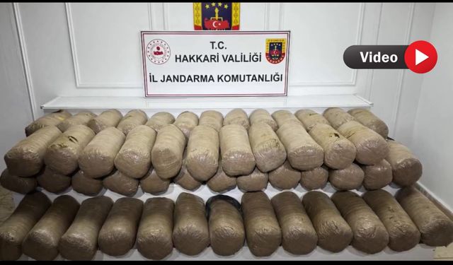 Yüksekova’da Zehir Tacirlerine Büyük Darbe: 503 Kilo Esrar Ele Geçirildi