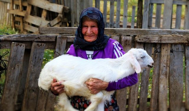 Antalya’nın süper çobanı Emine Nine: 94 yaşında, 90 yıldır keçileriyle dağlarda