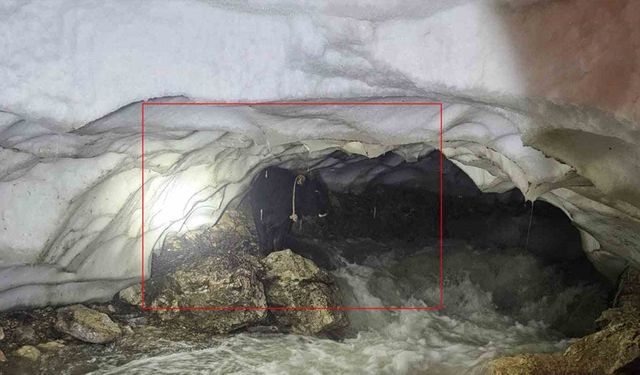 Hakkâri’de karla kaplı vadide umut operasyonu