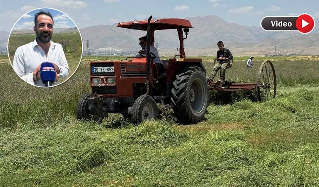 Yüksekova’da çiftçilerin kavurucu sıcakta ot toplama mesaisi sürüyor
