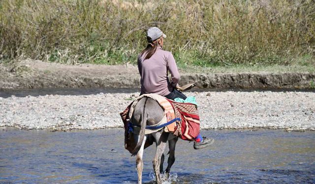 Şırnak yaylaları göçerlerle doldu