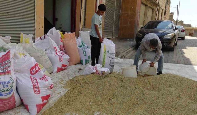 Gercüş’te bereketli hasat: Çiftçinin yüzü güldü