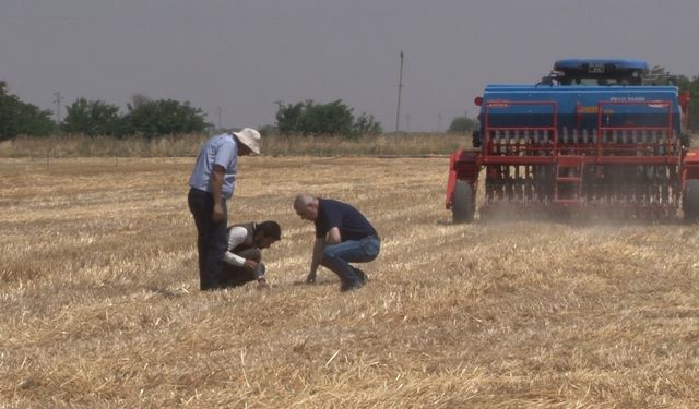 Şanlıurfa’da ’anız yakmadan üretim’ modeli yaygınlaşıyor