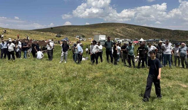 Bingöl’deki Çotla Festivali renkli görüntülere sahne oldu