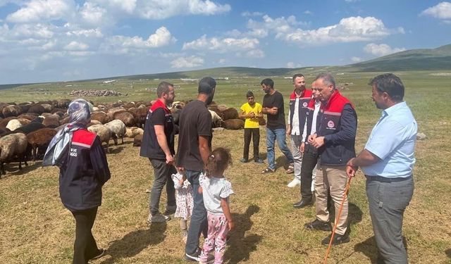 Kars’ta yaylalarda hayvancılığa yakın takip