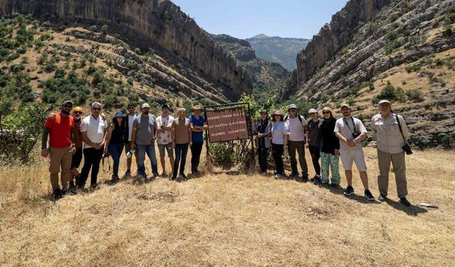 Fotono21 Hevsel Kupası sonuçları açıklandı