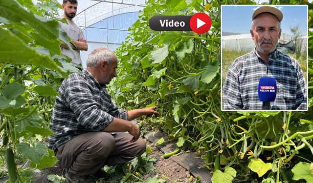 Yüksekovalı çiftçi, hurda malzemelerden yaptığı seralarla üretimi büyüttü