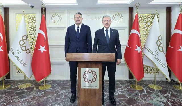 İçişleri Bakan Yardımcısı Çelik, Mardin Valisi Akkoyun ile bir araya geldi