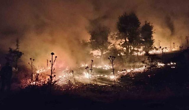 120 dönüm buğday tarlası kül oldu, yangın 6 saatte söndürüldü