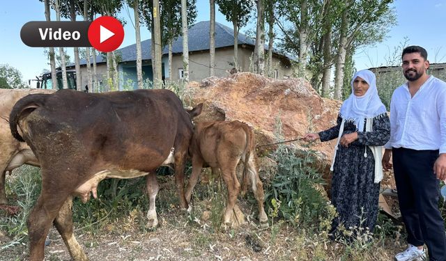 İneği Telef Olan Aileye Onur Akman’dan Destek