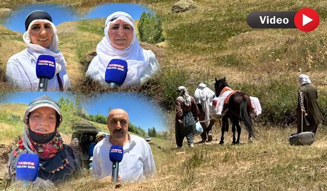 Kadın Kenti İlan Edilen Yüksekova’da Kadınların Çilesi Bitmek Bilmiyor!