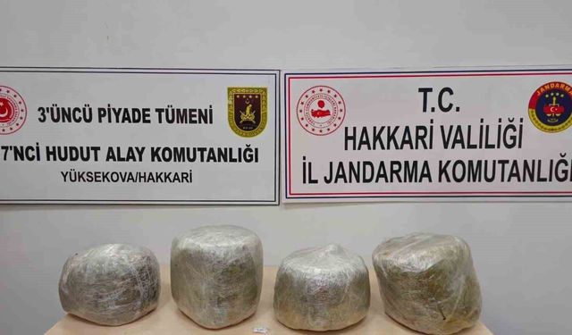 Yüksekova’da 11 kilo skunk ele geçirildi