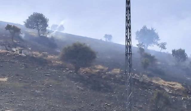 Siirt’te mera yangını: 50 dönümlük alan kül oldu