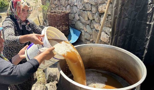 Servi köyünde asırlık gelenek yaşatılıyor: Dut pekmezi büyük emeklerle hazırlanıyor
