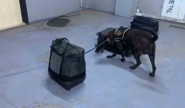 Silopi’de kıyafetlere emdirilmiş 7 kilo metamfetamin ele geçirildi
