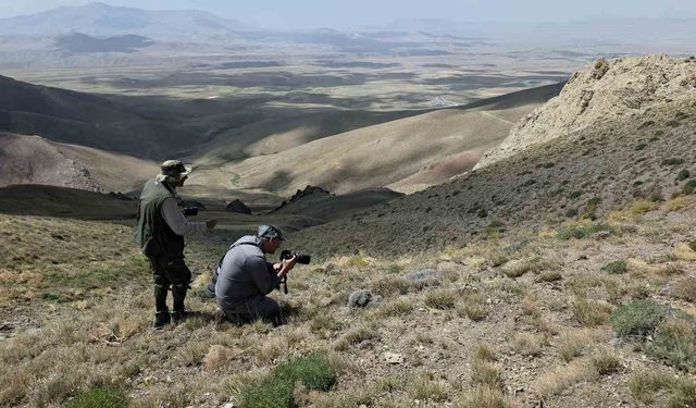 Van’daki kelebeklerin peşinde 2 bin kilometre yol yaptılar